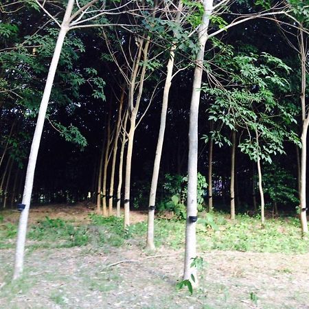 Mr Bao Homestay & Bungalows ヤオノイ島 エクステリア 写真