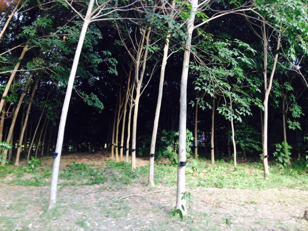 Mr Bao Homestay & Bungalows ヤオノイ島 エクステリア 写真