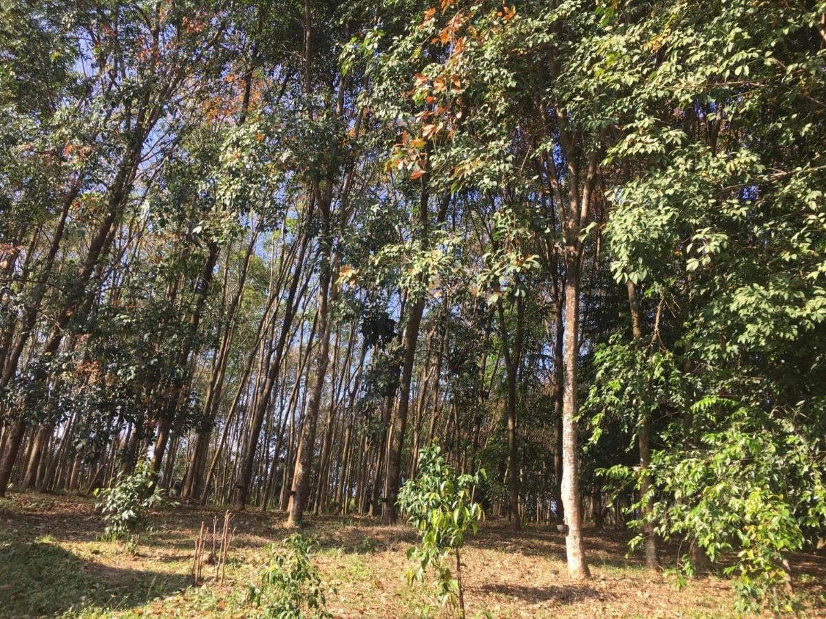 Mr Bao Homestay & Bungalows ヤオノイ島 エクステリア 写真
