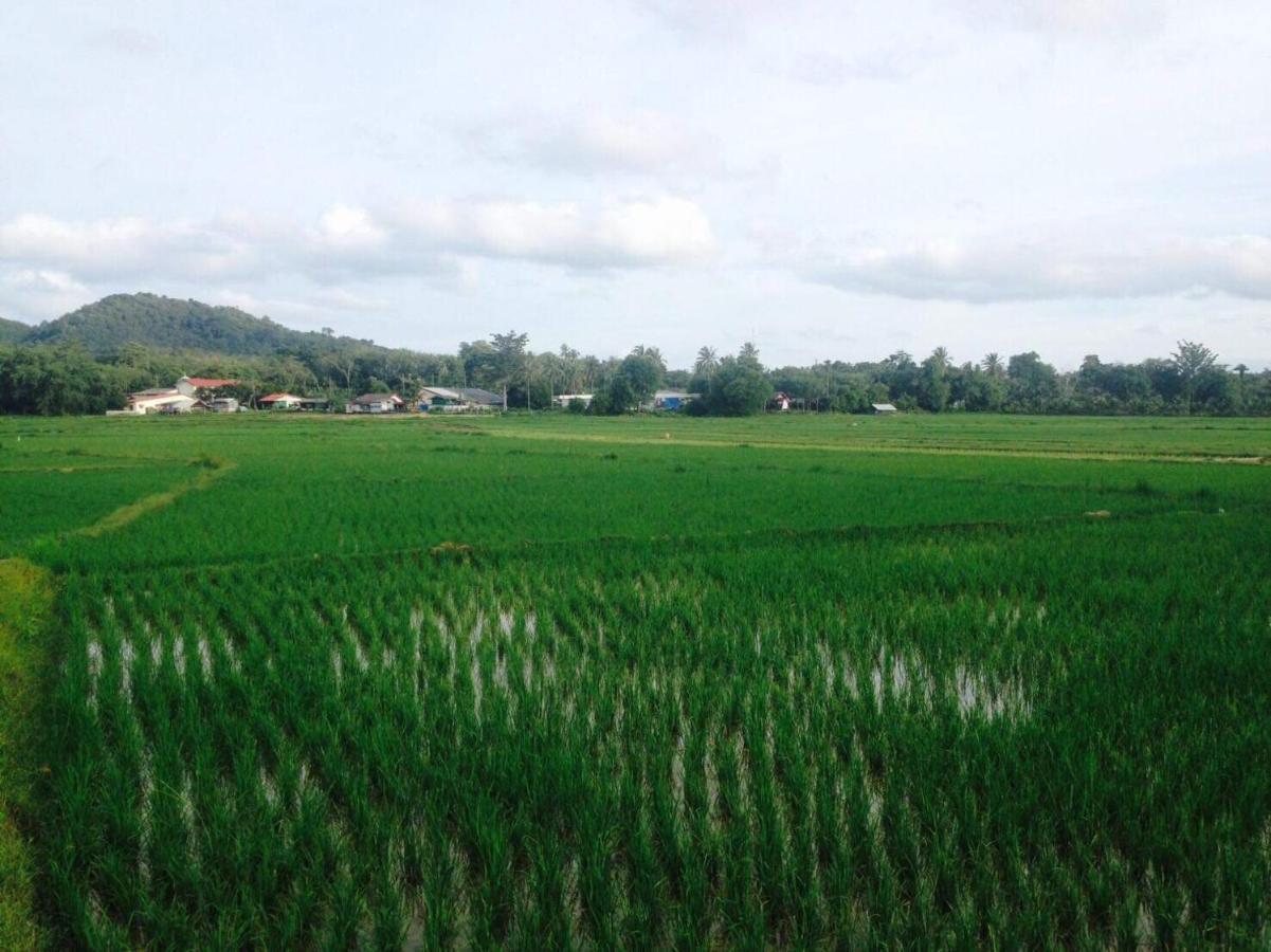 Mr Bao Homestay & Bungalows ヤオノイ島 エクステリア 写真